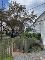 Very Cute, Willard Beach