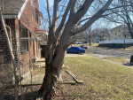 3 bed room house in good year heights**section 8 ready** now accpeting vouchers