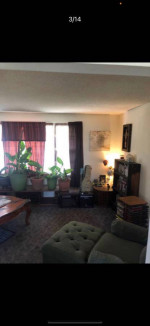 Roomate wanted rental house *$342/month