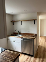 Fabulous newly renovated downtown apt