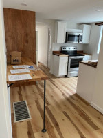 Fabulous newly renovated downtown apt