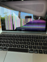 Apple Macbook 12 inch Laptop, 2017, Model A1534
