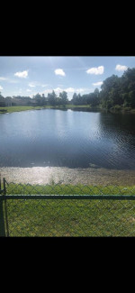 Beautiful 3/2 great location