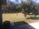 Great home ready for move in