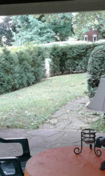 March 31/Earlier, Custom Term Leases: $595 1BR/BA; $800 1BR/BA/OFICE.