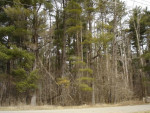 2 bedroom ranch home with attached garage