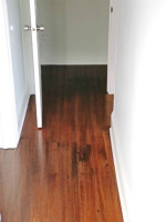 Spacious 3 Bedroom Single in Allentown