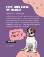 PET FRIENDLY!!! BRING YOUR FAMILY!!