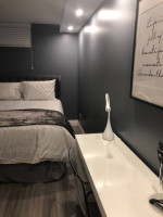 Furnished own entrance basement, bachelor + dan downtown Toronto