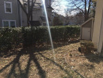 SINGLE FAMILY 6031 NETHERTON ST