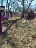 Shelton - ranch style house