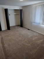 Free application Friday only at Willow Creek Apartments