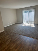 Fully renovated beautiful 2 bedroom, 1.5bath! Pets Friendly!