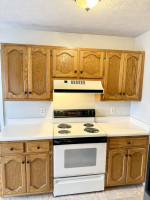 Fenced Hendersonville Home - Bonus Room!
