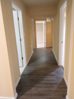 3 Bed, 1 Bath-Basement Apartment