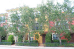 3 Beds 3.5 Baths Townhouse