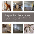 Cute, Charming, Available and Loves Cats...The Perfect Apartment!