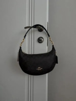 New Coach bag