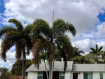 💡 3/2 HOMESTEAD: Amazing Rental Beautiful Redland Home Ready To