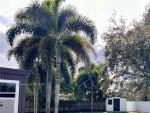 💡 3/2 HOMESTEAD: Amazing Rental Beautiful Redland Home Ready To