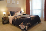 3 bedroom 2 bath Plano Home for rent $$$ - Near Legacy West