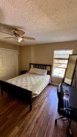 1 Bed 1 Bath
