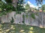 2405 Helen Ave (3 Bed, 1 Bath)