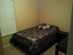 Gorgeous 1BR house for available now