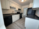 Now allowing CATS!!2 bed 1.5 bath. Full basement, central air!