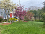 Norfolk Immediate Occupancy Room for Rent