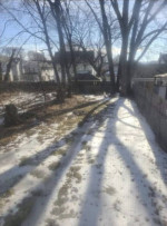 Mother / Daughter - Scranton 1 or 2 bedroom apartments available