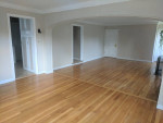 Beautiful 3 bd / 1 bath
