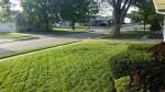 House in Great Location – Bike to Campus, Walk to Big Grove Brewery