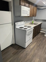 Basement studio for rent in Alexandria