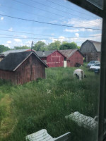 17 acre Farm house available with land!