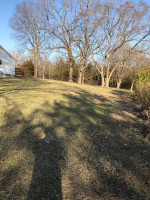 Marshfield, Missouri, farmhouse for rent