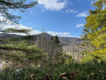 Very rustic cabin East of Asheville off Riceville Rd.