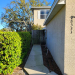 Townhouse in Tampa for rent