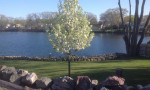 Security/privacy/waterfront/