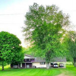 House for rent 2.5 bath and 4 bedrooms