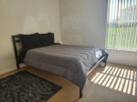WEEKLY ROOM FOR RENT