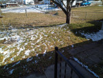 3 bed/ 1 bath pet friendly home