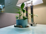 Affordable office solutions @ One Tara Boulevard!