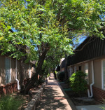 🌳Salon/Spa/MicroRetail in Garden Office Park🌳
