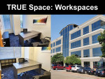 Window Office Designated Desks $165/mo at TRUE Space