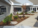 Don't work from home - Single offices for lease on Main St.