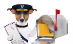 Start Your Business And Get A Professional Mailing Address!