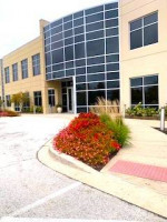 Leap Into a Brand New Office!  Call Toni