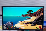 LG UltraFine 24" Display Apple Macbook 24MD4KL-B IPS LED 4K