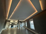 HOME OFFICE/ BUSINESS NEXT TO BIRDS NEST 1 BR HUGE Loft apartment